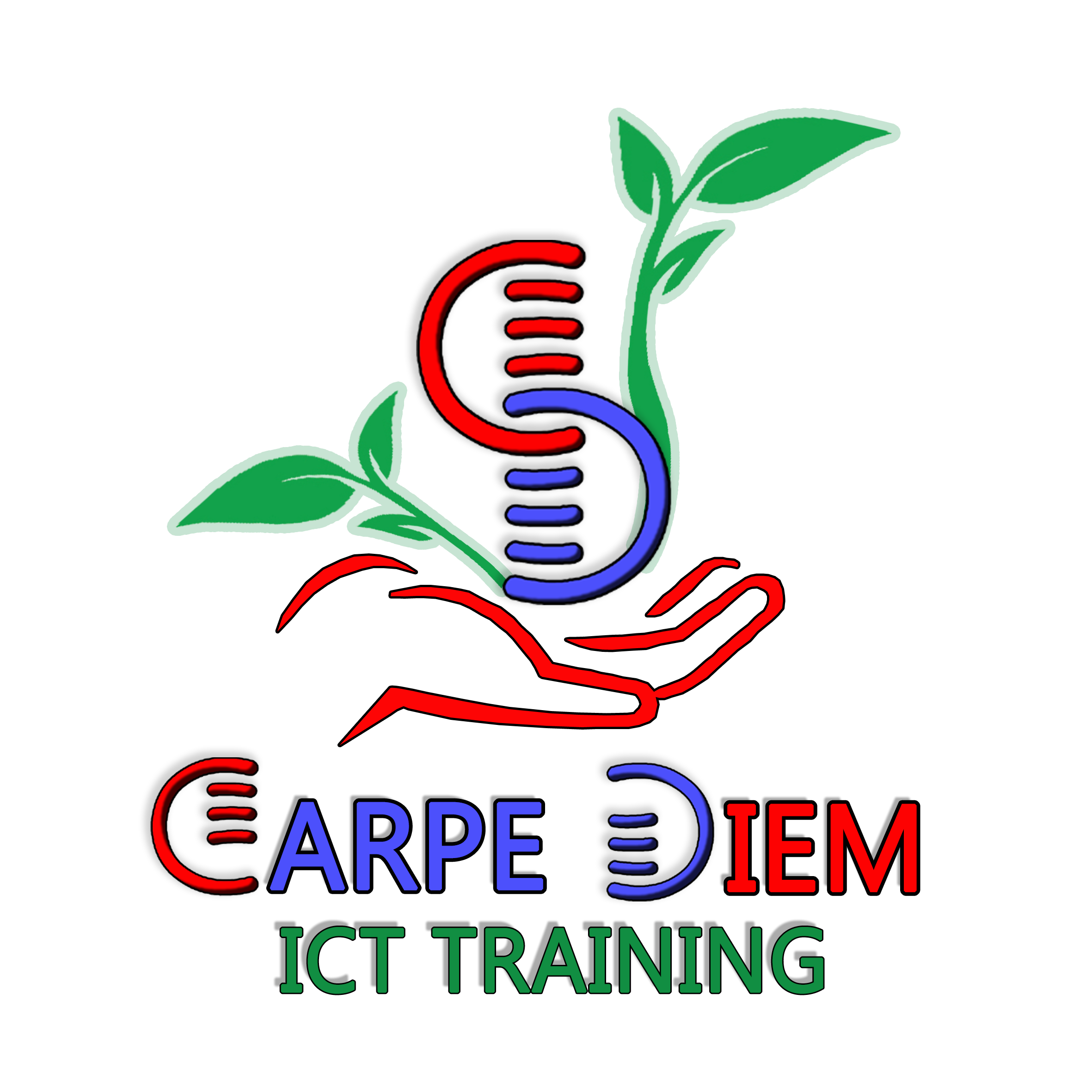 Carpe Diem ICT Training
